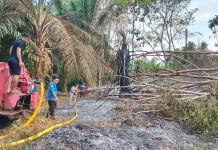 Dinas Damkar Kaur Harapkan Adanya Penambahan Armada untuk Tingkatkan Layanan