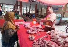 Harga Daging Ayam Potong di Bintuhan Masih Rp45.000/kg