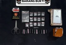 Satresnarkoba Polres Bengkulu Selatan Ungkap Dua Kasus Sabu