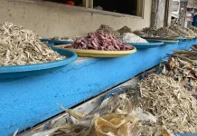 Solar Langka, Harga Ikan Asin di Pantai Malabero Naik