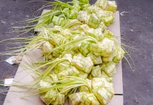 Ketupat Menjadi Simbol Kebersamaan dalam Tradisi Masyarakat