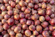Cara Cepat Membuka Kulit Bawang Merah, Praktis dan Hemat Waktu