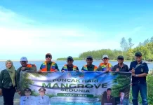Pemkab Seluma Tanam Mangrove, Ajak Masyarakat Lestarikan Pesisir