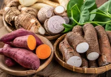 Ubi dan Ubi Jalar, ternyata Bukan Makanan yang Sama