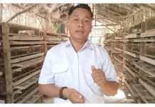 Potensi Usaha Peternakan Puyuh di Bengkulu Masih Terbuka Lebar