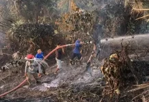 Kebakaran Lahan di Kabupaten Kaur Kembali Tejadi