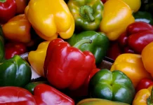 Mengapa Paprika Memiliki Banyak Warna? Ini Penjelasan dan Manfaatnya