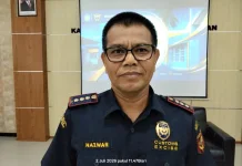 Penerimaan Bea Cukai Bengkulu Naik 3.683 Persen, Ekspor Tembus Rp418,7 Miliar