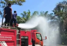 DLHK Bengkulu Selatan Ajak Masyarakat Selalu Waspada Karhutla