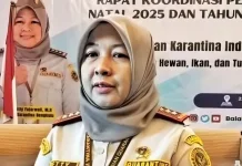 Pengusaha di Rejang Lebong Rutin Ekspor Komoditas Kolang-Kaling