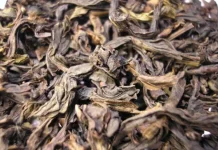 Da Hong Pao: Teh Legendaris China yang Harganya Melebihi Emas