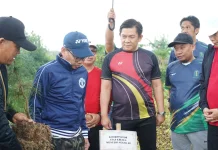 IAIN Curup Tanam Bibit Pinus untuk Mewujudkan Kampus Hijau
