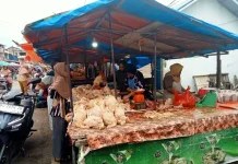 Harga Daging Ayam Mahal, Dispedagrin Bengkulu Siapkan Pengawasan