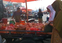Harga Ayam Potong di Kota Bengkulu Terus Naik