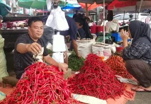 Pasokan Berkurang, Harga Cabai di Pasar Panorama Kota Bengkulu Masih Tinggi