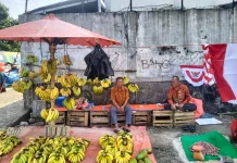 Harga Pisang di Pasar Minggu Kota Bengkulu Stabil, Pasokan dari Enggano Terhambat