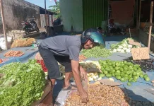 Harga Sayuran di Pasar Panorama Masih Tinggi, Pedagang Sebut Dipicu Permintaan MBG