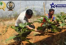 Rutan Kelas IIB Manna Terus Optimalkan Lahan Brandgang