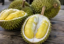 Cara Mengolah Durian Menjadi Beragam Makanan Rumahan