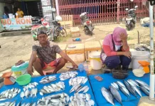 Harga Ikan Laut Lebih Mahal, Ikan Tawar Jadi Pilihan Warga