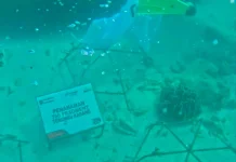 Merajut Kembali Benteng Biru Pulau Tikus Bengkulu dari Ancaman