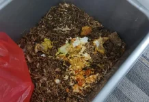 Dari Sampah Organik Jadi Cuan, Warga Sukamerindu Didorong Budidayakan Maggot