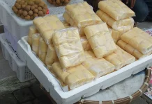 Bukan Yogurt atau Kimchi, Makanan Tradisional Ini ternyata Rajanya Probiotik
