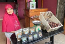 Inovasi Warga Bengkulu tengah Olah Buah Salak Jadi Kopi dań Dodol