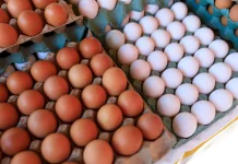 Rekomendasi Makanan untuk Membantu Menaikkan Berat Badan Anak secara Sehat