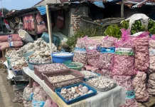Kerajinan Kerang Bengkulu Jadi Cenderamata Bernilai Ekonomi