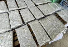 Harga Kedelai Naik, Produsen Tahu-Tempe Bengkulu Kecilkan Ukuran