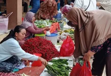 Harga Cabai di Pasar Bintuhan Mulai Turun