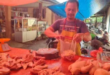 Harga Daging Ayam Potong Melonjak, Capai 50 Ribu Per Kg