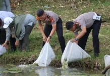 Perkuat Ketahanan Pangan, Kapolda Bengkulu Tebar Bibit Ikan Lele