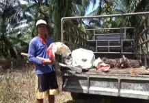 Pemerintah Kabupaten Bengkulu Utara Terus Dorong Kepemilikan STDB