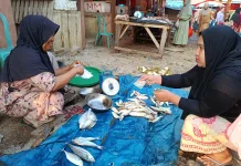 Gelombang Tinggi, Pasokan Ikan Laut Dipasar Bintuhan Berkurang Harga Melonjak