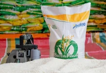 Bantuan Pangan Beras di Bengkulu Utara Mulai Berjalan
