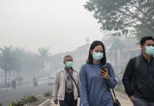 Cara Terbaik untuk Tetap Sehat saat Kabut Asap
