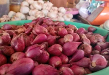 Harga Bawang Merah Turun, sementara Bawang Putih Masih Stabil