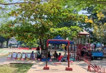 Taman Lupis Simpang Kandis Ramai, Usaha Pedagang Ikut Berkembang