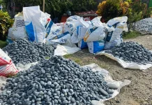 Pantai Batu Putih Bengkulu Selatan, memiliki Potensi Ekonomi Penghasil Batu Hias