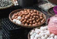 Harga Beras dan Telur di Pasar Panorama Bengkulu Mulai Mengalami Kenaikan