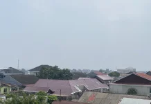 Kabut Asap Selimuti Sejumlah Wilayah Bengkulu, BMKG Ingatkan Potensi Karhutla