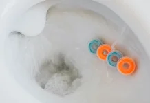 Pengharum Alami Rasa Buah untuk Membuat Toilet Lebih Segar