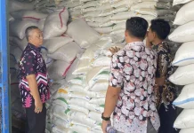 Bantuan Panga Beras di Bengkulu Selatan Mulai Disalurkan