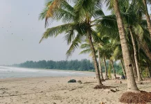 Pantai Teluk Sepang Tawarkan Keindahan Alam yang Masih Asri