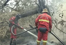 Hotspot Meningkat, Kementerian Kehutanan Perketat Operasi Penanganan Karhutla