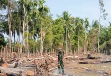 Babinsa Lakukan Patroli Cegah Karhutla di Wilayah Binaan