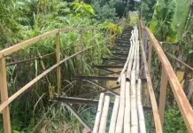 7 Jembatan di Kabupaten Lebong Akan Diperbaiki
