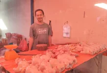 Harga Daging Ayam Potong Tak Kunjung Turun, Rp50.000/kg